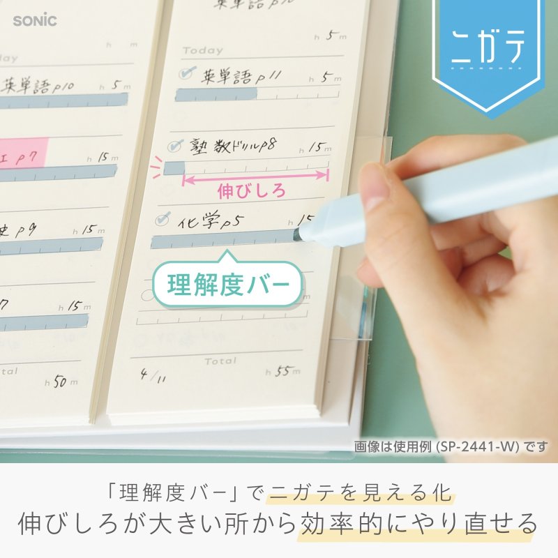 画像9: ズボラ勉強　要点チェックリスト　１００日分　２連メモ　スタンドタイプ (9)