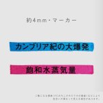 画像9: 速暗！２色で引いて覚える　暗記用ペン＆４枚シートセット (9)