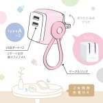 画像7: USB充電器　USB-A×２ ケーブルリング付ユートリムエル (7)