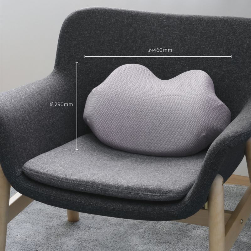 フォロワークッション｜ソニックオンラインショップ｜ソニップ
